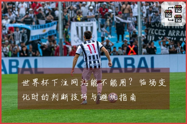 世界杯下注网站能不能用？临场变化时的判断技巧与避坑指南