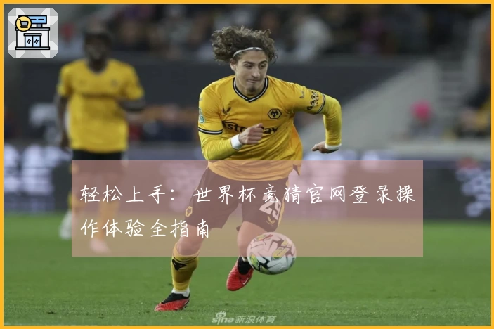 轻松上手：世界杯竞猜官网登录操作体验全指南