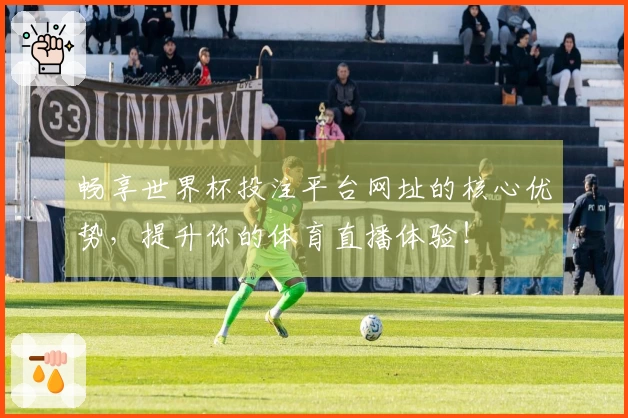 畅享世界杯投注平台网址的核心优势，提升你的体育直播体验！