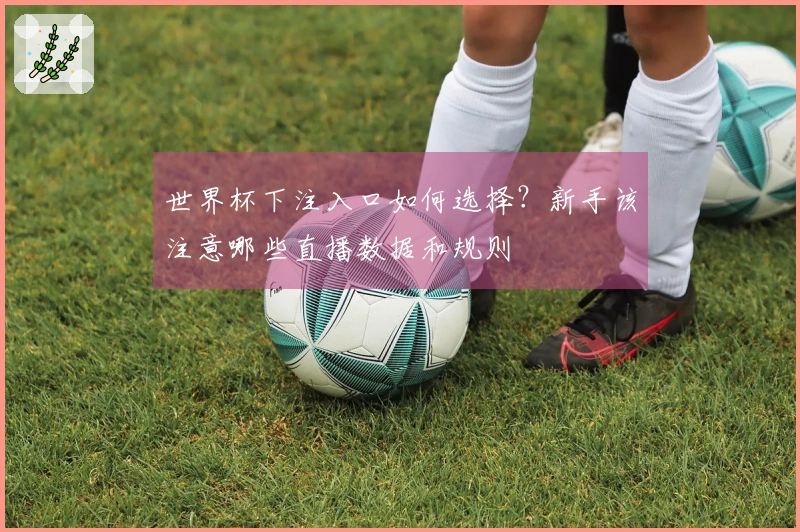 世界杯下注入口如何选择？新手该注意哪些直播数据和规则