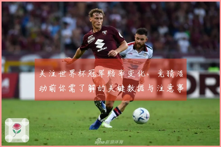 关注世界杯冠军赔率变化，竞猜活动前你需了解的关键数据与注意事项