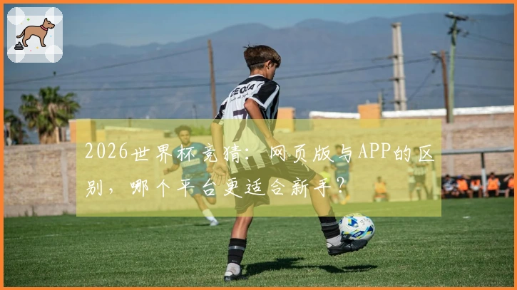 2026世界杯竞猜：网页版与APP的区别，哪个平台更适合新手？
