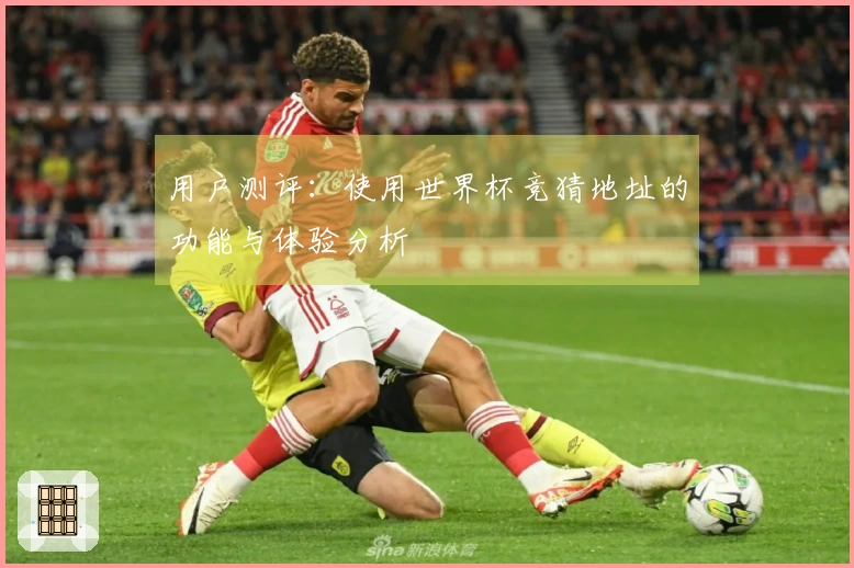 用户测评：使用世界杯竞猜地址的功能与体验分析