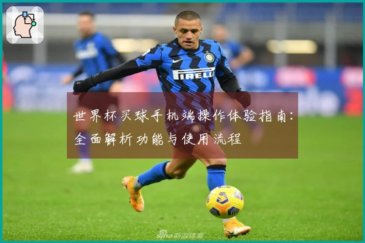 世界杯买球手机端操作体验指南：全面解析功能与使用流程