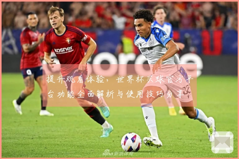 提升观看体验，世界杯买球官方平台功能全面解析与使用技巧分享