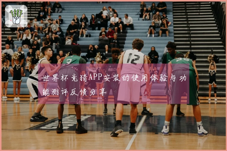 世界杯竞猜APP安装的使用体验与功能测评反馈分享