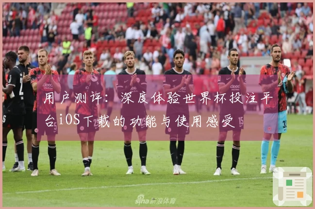 用户测评:深度体验世界杯投注平台iOS下载的功能与使用感受