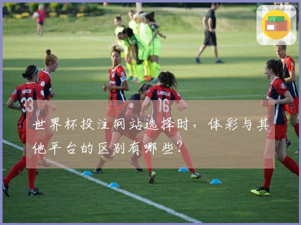 世界杯投注网站选择时，体彩与其他平台的区别有哪些？
