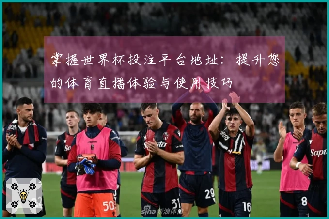 掌握世界杯投注平台地址:提升您的体育直播体验与使用技巧