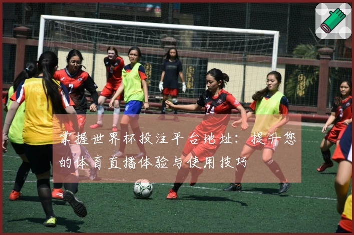 掌握世界杯投注平台地址：提升您的体育直播体验与使用技巧