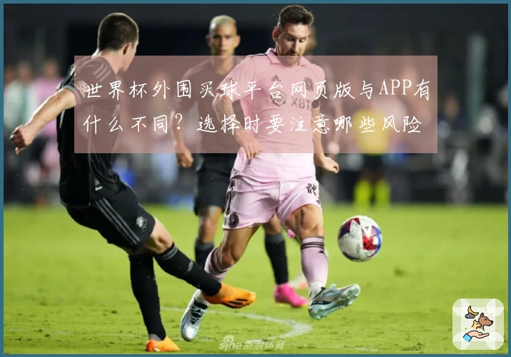世界杯外围买球平台网页版与APP有什么不同？选择时要注意哪些风险？