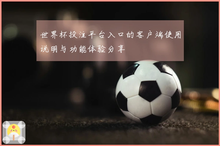 世界杯投注平台入口的客户端使用说明与功能体验分享