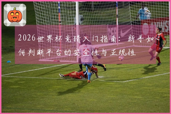 2026世界杯竞猜入门指南：新手如何判断平台的安全性与正规性