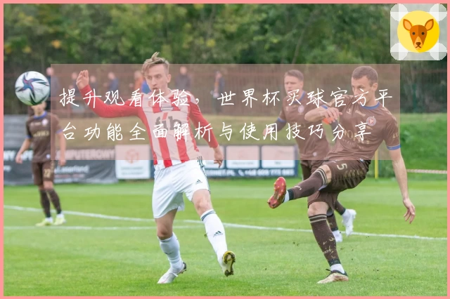 提升观看体验,世界杯买球官方平台功能全面解析与使用技巧分享