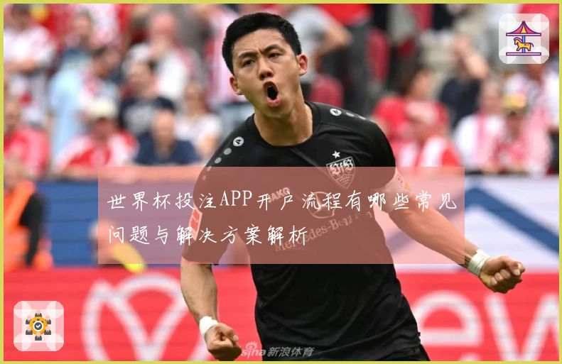 世界杯投注APP开户流程有哪些常见问题与解决方案解析